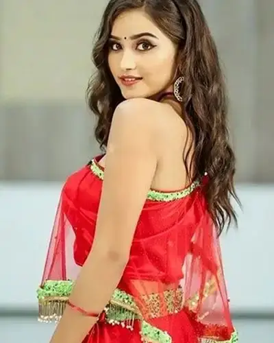 Call Girl Service in Arcot